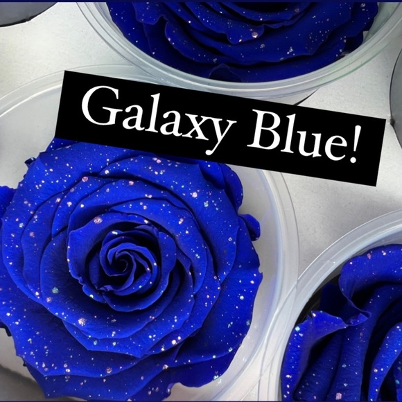 NIB Preserved Rose - Picture 5 of 9